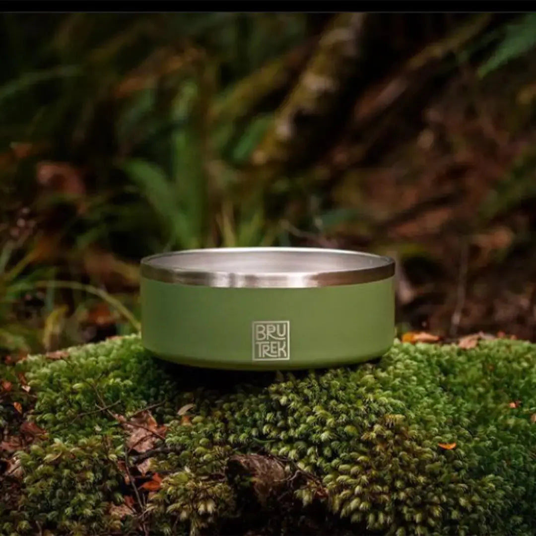 BruTrek® Dog Bowl Happy Bear Coffee
