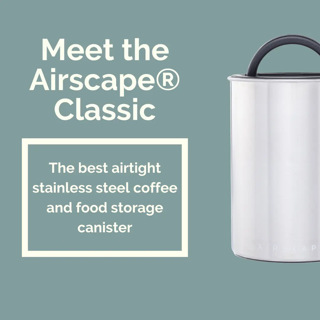 Airscape Coffee Canister – Classic Happy Bear Coffee Company