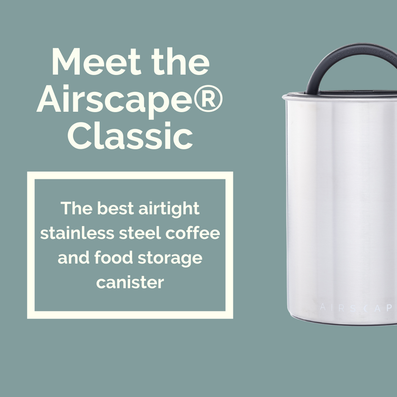 Airscape Coffee Canister – Classic