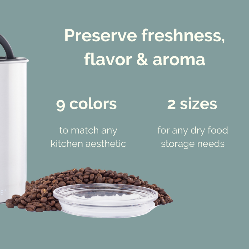 Airscape Coffee Canister – Classic